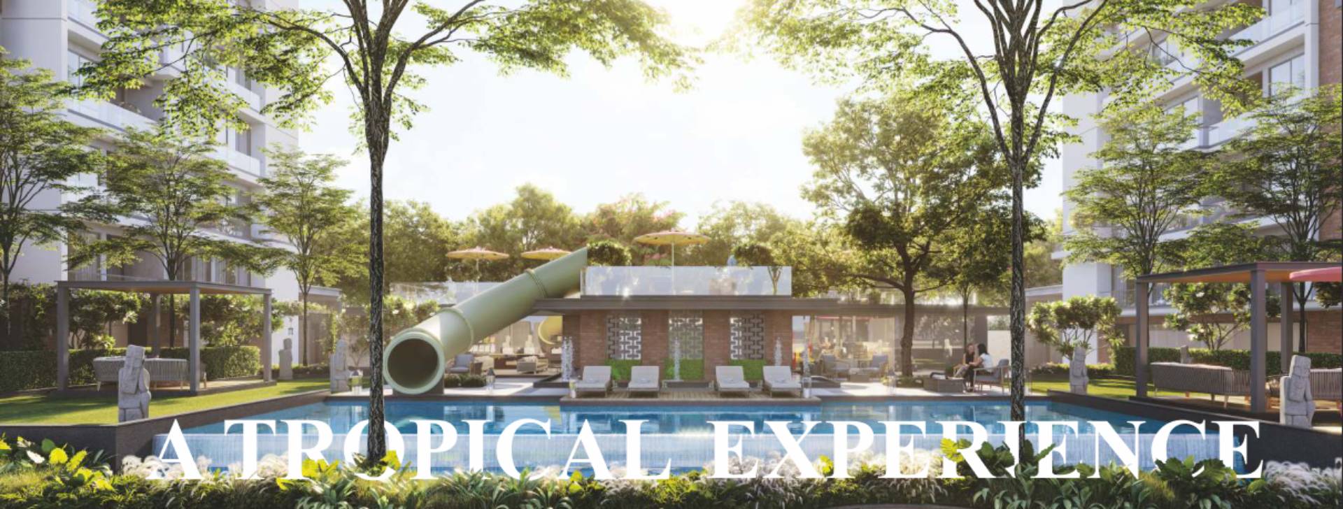 Courtyard Primero Background